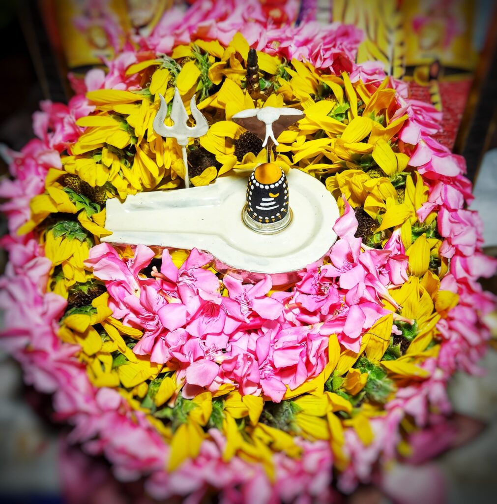 WhatsApp Image 2024-08-19 at 07.40.39_da6a6656